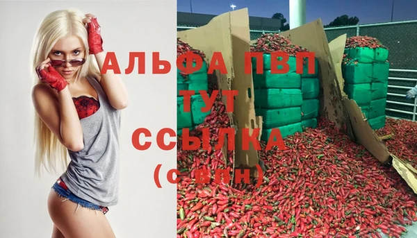 ПСИЛОЦИБИНОВЫЕ ГРИБЫ Лиски