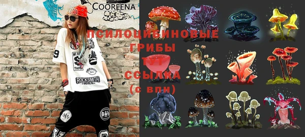 СК Липки