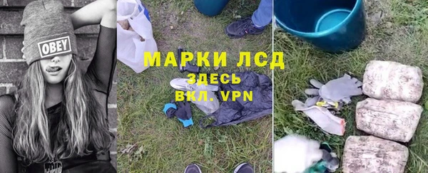 ПСИЛОЦИБИНОВЫЕ ГРИБЫ Лиски
