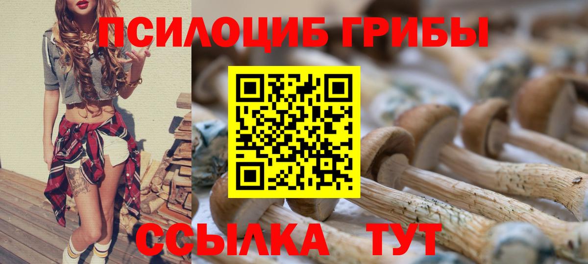 Галлюциногенные грибы прущие грибы Кудымкар