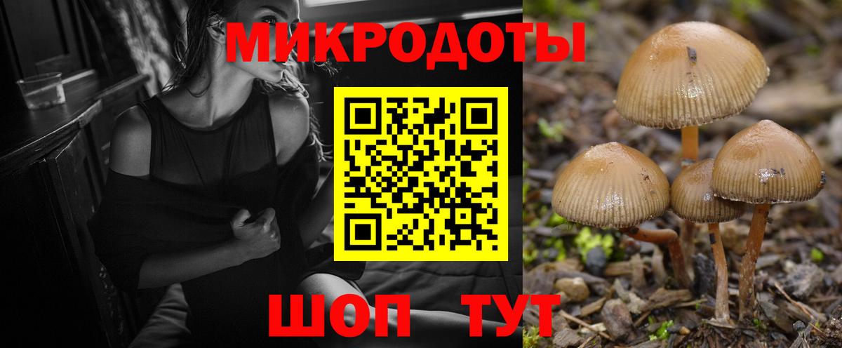 Кудымкар  Псилоцибиновые грибы Magic Shrooms  Псилоцибиновые грибы мухоморы  Вход с VPN 